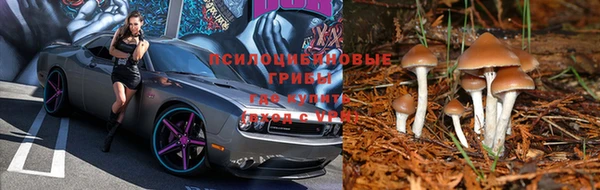 спиды Белоозёрский
