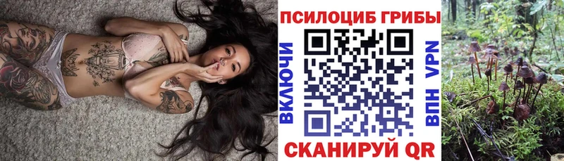 Псилоцибиновые грибы MAGIC MUSHROOMS  дарнет шоп  Малмыж 